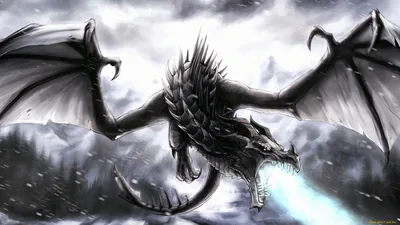 Epic Dragon Fantasy HD Wallpaper