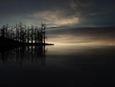 Sunset Wallpaper 4K, Dry trees, Silhouette, Dusk, Lake