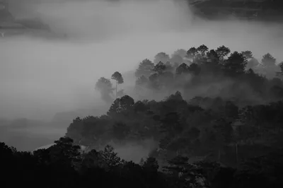 Black Landscape Photos, The BEST Free Black Landscape Stock