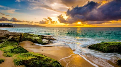 Golden Sunset Over Moss-Covered Rocks HD Wallpaper