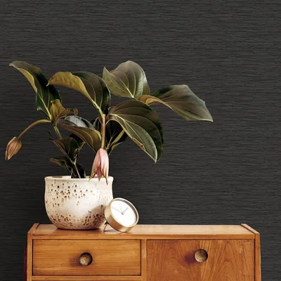 Superfresco Easy Serenity Plain Black Wallpaper