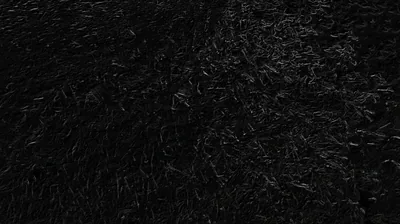 Black Foliage Texture in the Dark HD Wallpaper
