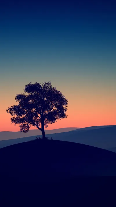 Minimalist Tree on a Dusk Hillside HD Phone Wallpaper