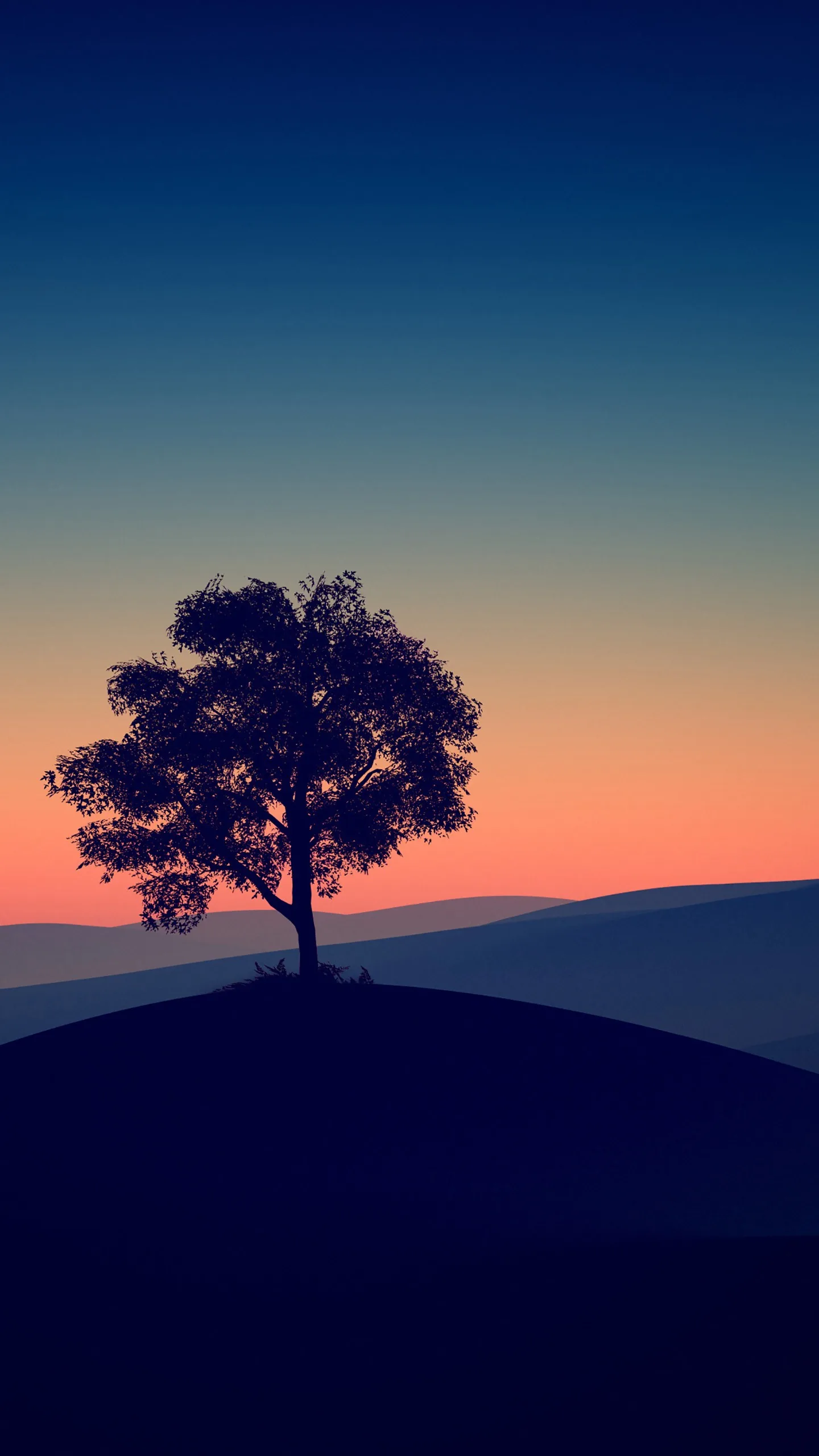One round-crowned tree stands on a smooth dark hill as orange dusk fades upward into navy, the flat gradient sky leaving generous room for widgets.