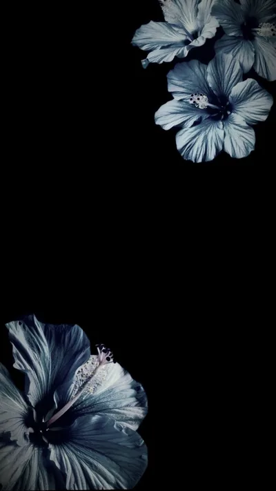 Blue flwr wallpaper