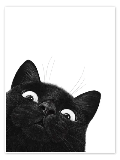 Funny Black