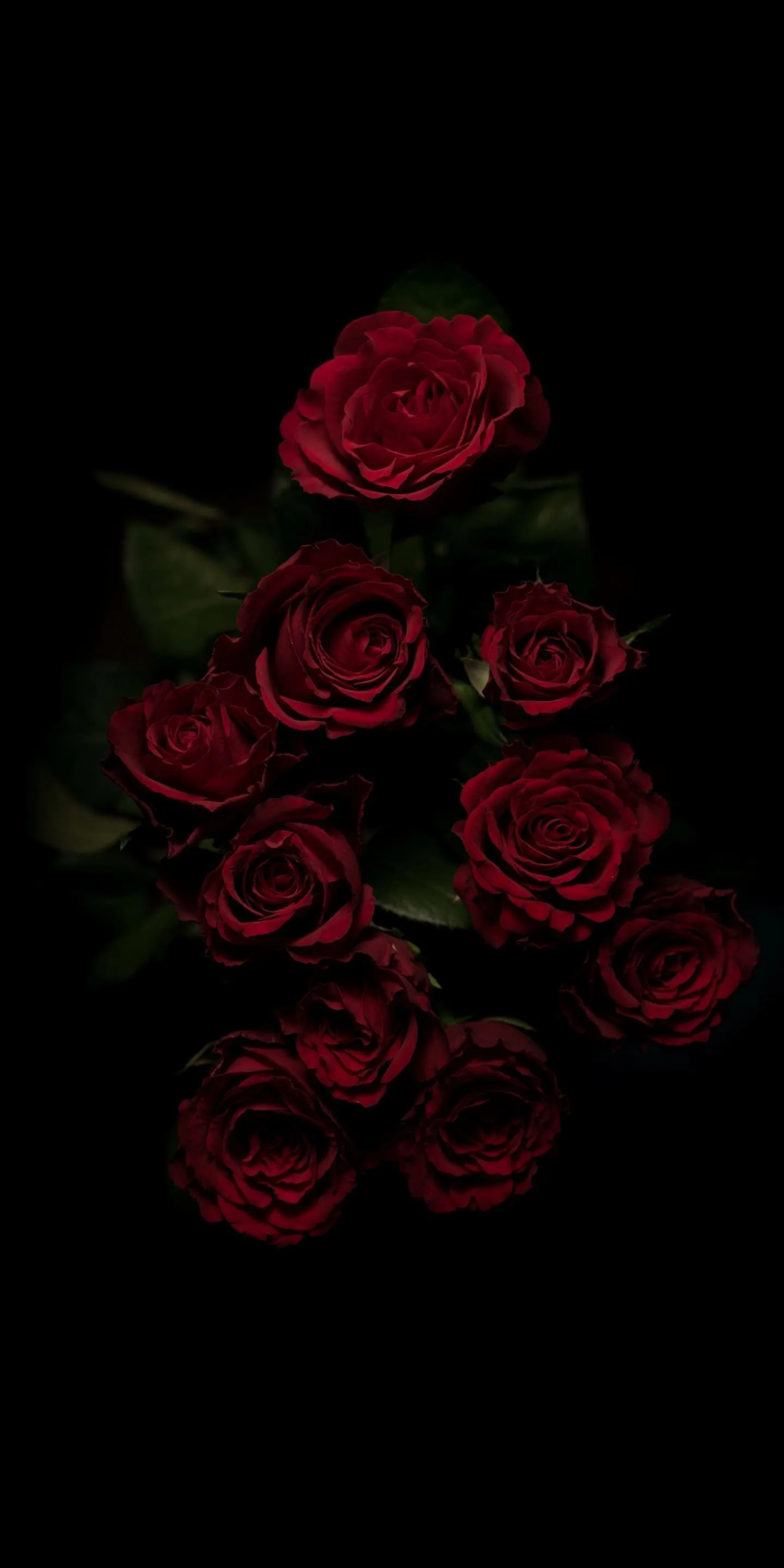 Black Roses Wallpaper Desktop Backgrounds