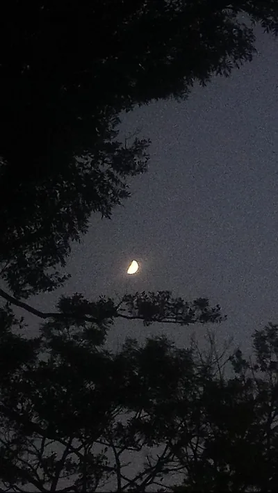 aesthetic moon wallpaper dark sky night material Night Aesthetic