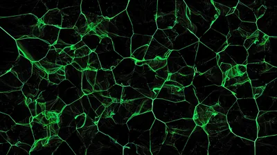 Cool Green And Black Backgrounds