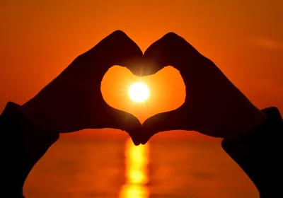 Heart Hand Wallpapers