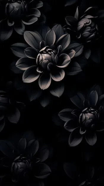 Charcoal Dahlias in Low Light HD Phone Wallpaper