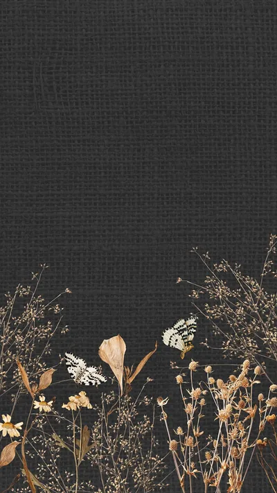 Black Wallpaper