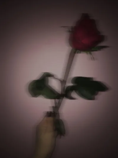 Black Rose Aesthetic Wallpapers Top Những Hình Ảnh Đẹp