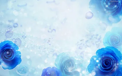 Blue Flower Backgrounds