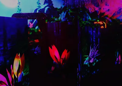 UV Garden Glowing Under Blacklight HD Wallpaper
