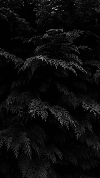 Top Black Aesthetic Phone Wallpaper Full HD, 4K Free to Use