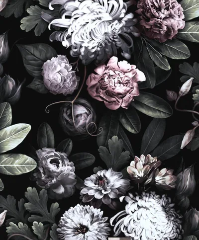 Dark Flower Wallpapers Dark Flower Backgrounds