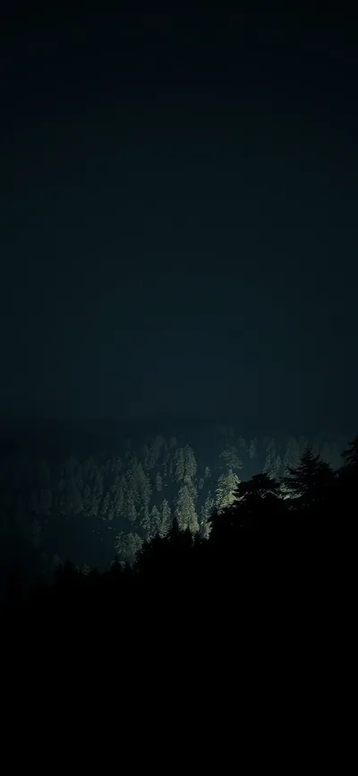 Starry Night Dark Colour Night Time With Black Trees In Hilly Area