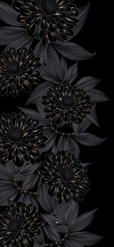 Black Dahlia Border on a Tall Frame HD Phone Wallpaper