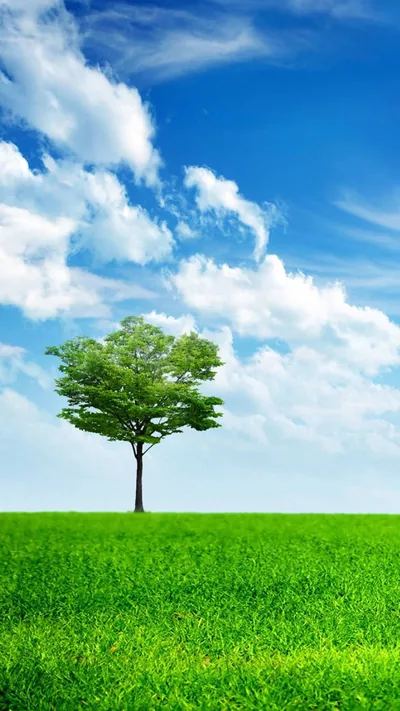 Hd Nature Wallpapers For Android Mobile