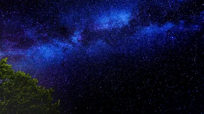 Blue Starry Sky Above a Green Tree HD Wallpaper