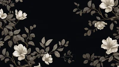 Cream Flowers on Black Background HD Wallpaper