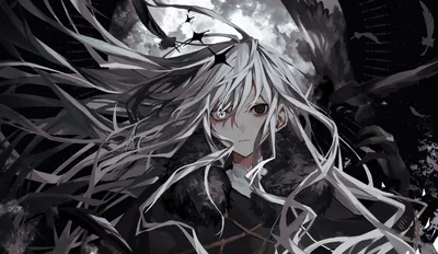 Silver Haired Anime Girl with Crows HD Wallpaper