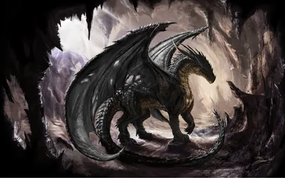 Dragon Dark Wallpapers