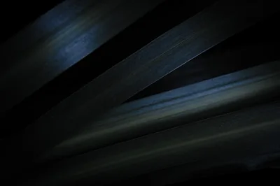Grey Wallpaper 4K, Leaves, Dark aesthetic, Macro