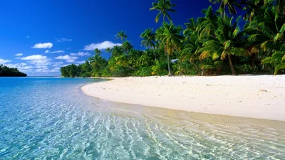Nature Beach HD Wallpaper