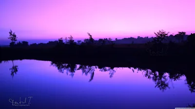Purple Wallpaper and Background