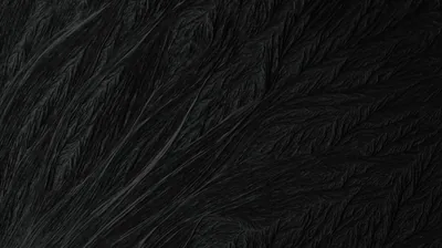 Black Paint Wallpapers Black Paint Backgrounds