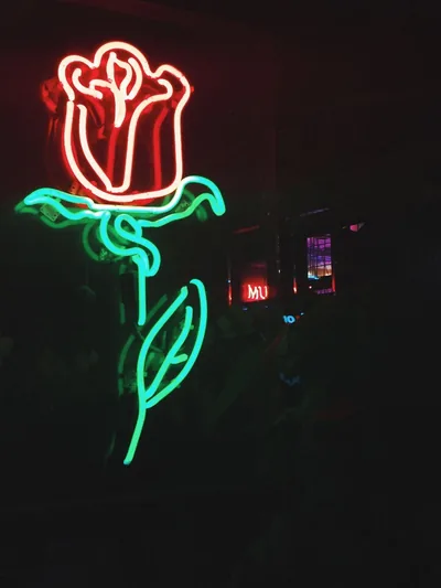 Glowing Neon Rose in a Dark Room HD Phone Wallpaper