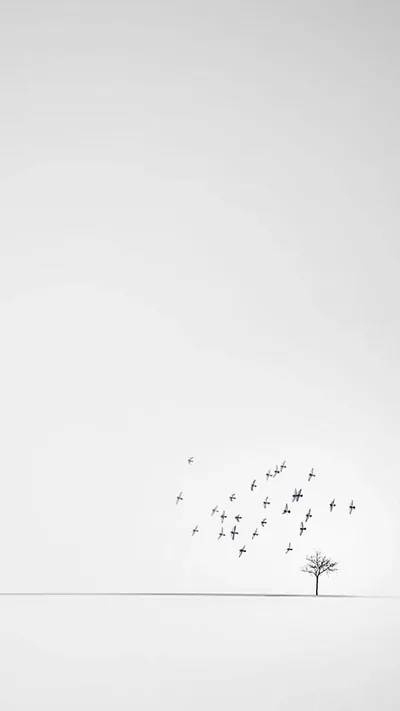 Black White Minimalist Wallpapers Black White Minimalist