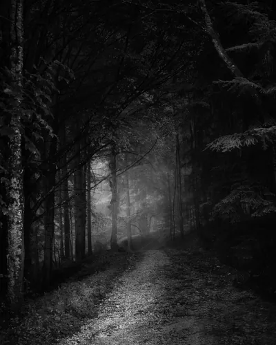 Black Horror Wallpapers