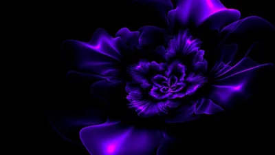 Purple Fractal Flower Black Background HD Purple Wallpapers
