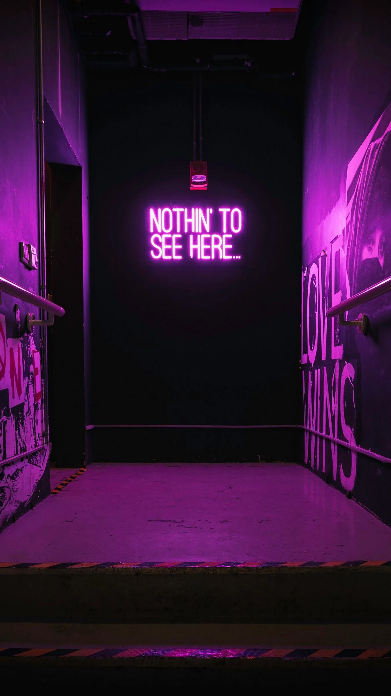Pink Neon Lights Wallpaper