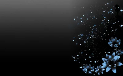 Black Wallpapers with Flowers
