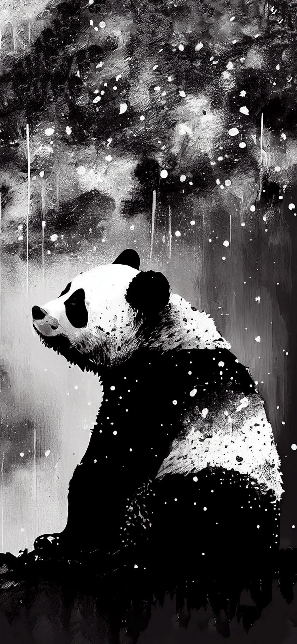Black and White Panda Wallpapers Black and White Panda