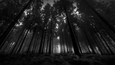 Dark Wallpapers Dark Backgrounds
