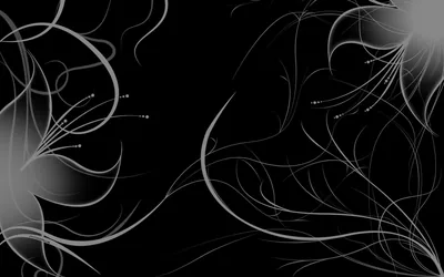 Silver Tendrils on Black HD Wallpaper