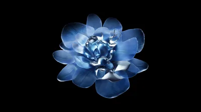 Blue Flower with Metallic Petals HD Wallpaper