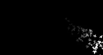 White Butterflies Rising on Black HD Wallpaper