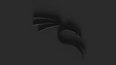 Black Dragon Kali Linux Desktop wallpapers
