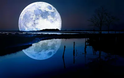 Blue Moon Wallpaper images