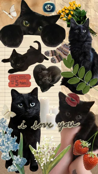 i miss my black midnight