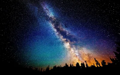 Starry Sky over a Pine Forest HD Wallpaper