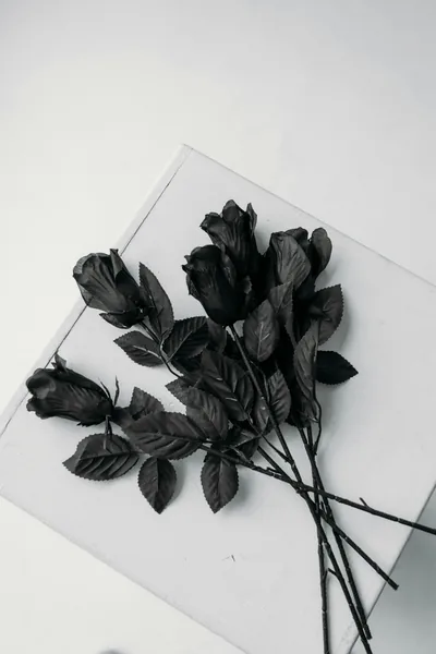 Black Rose Phone Wallpapers