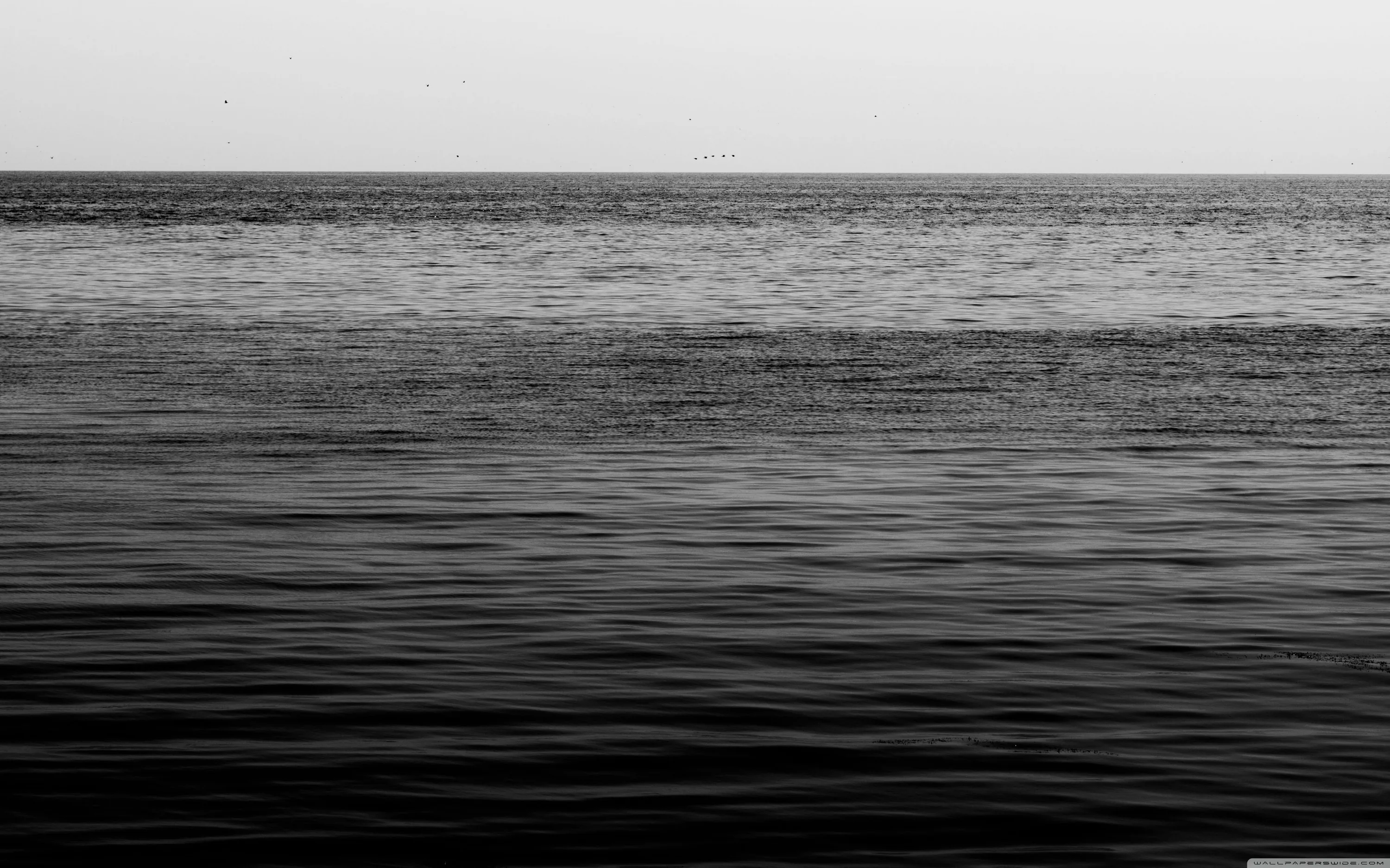 Dark Sea 4k Wallpapers