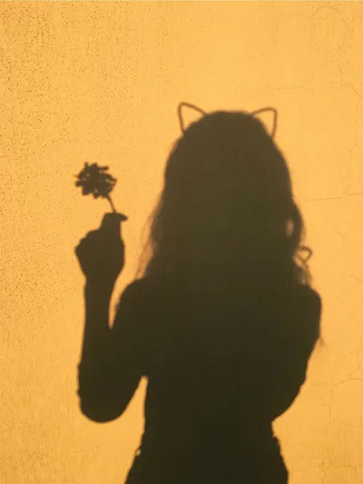 Shadow Girl Wallpapers Shadow Girl Backgrounds